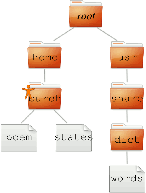 root has home and usr;
home has burch, which has files poems and states;
usr has share, which has dict, which has file words