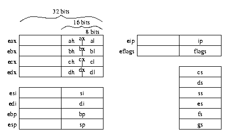 Intel X86 Opcode Reference Stack Overflow